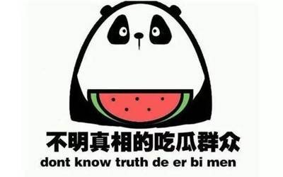 国产精品在线观看