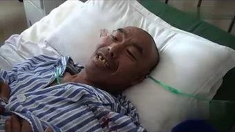 哈尔滨割睾丸视频,揭秘背后真相与反思